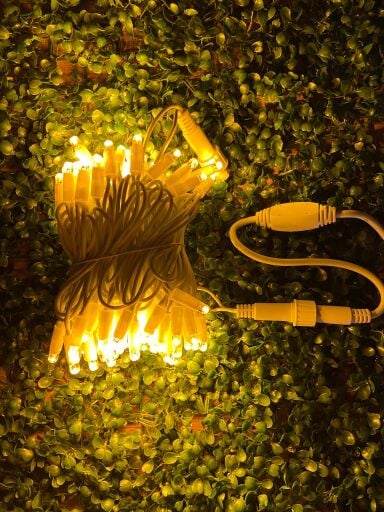 İp Led