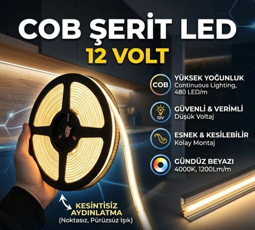 12 Volt Cob Led