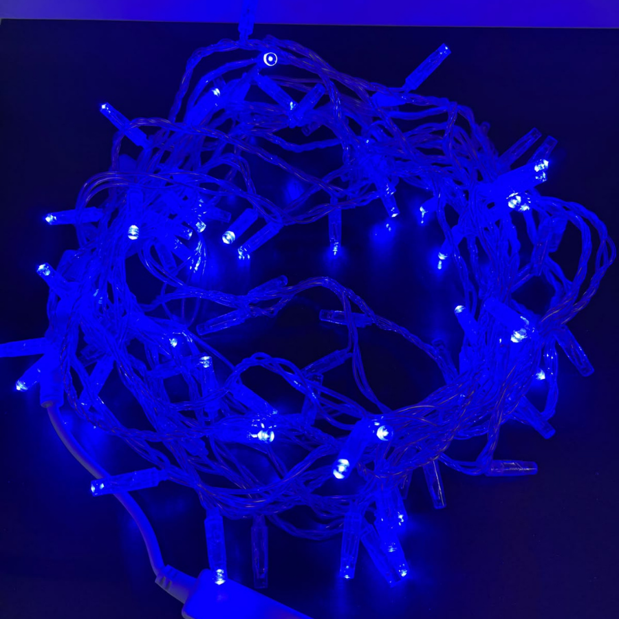 Dış Mekan İp LED 10 Metre 100 LED 220V Şeffaf Kablo Mavi